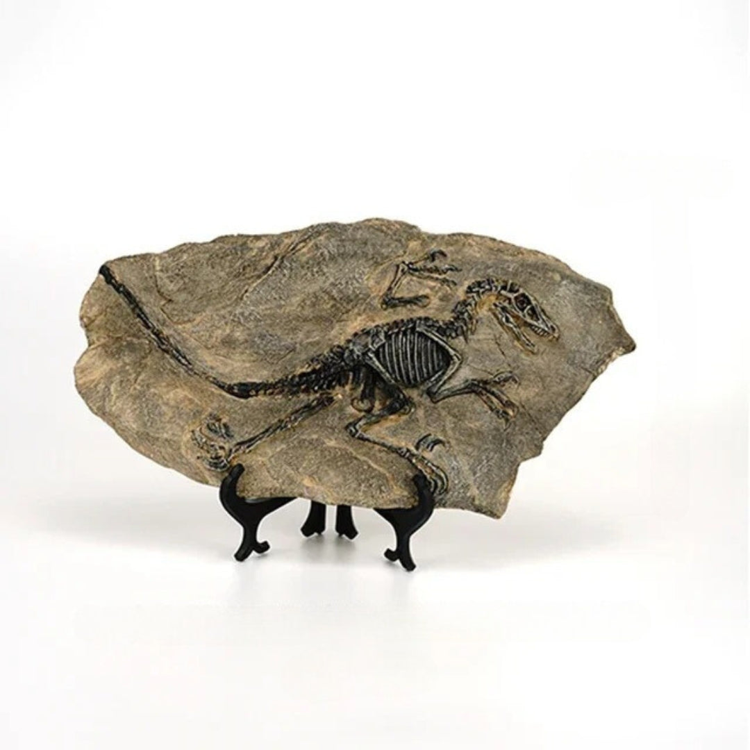 Dinosaur Fossil Resin