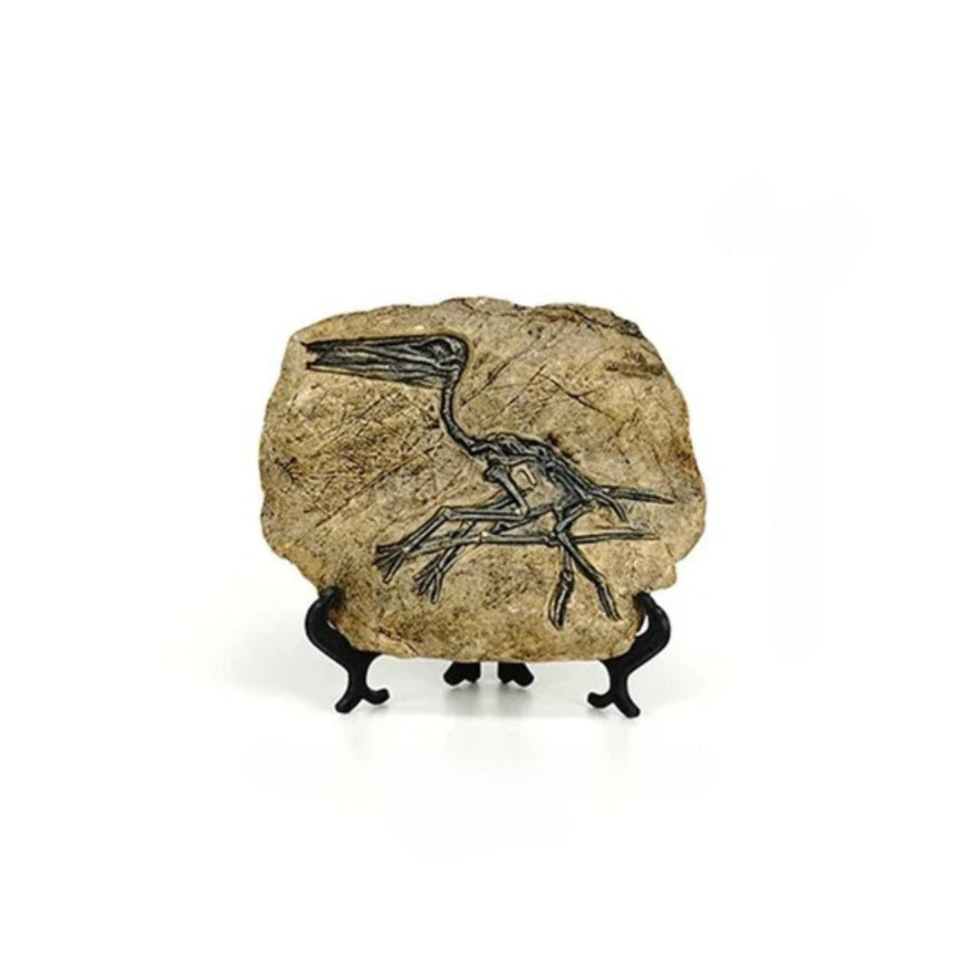 Dinosaur Fossil Resin