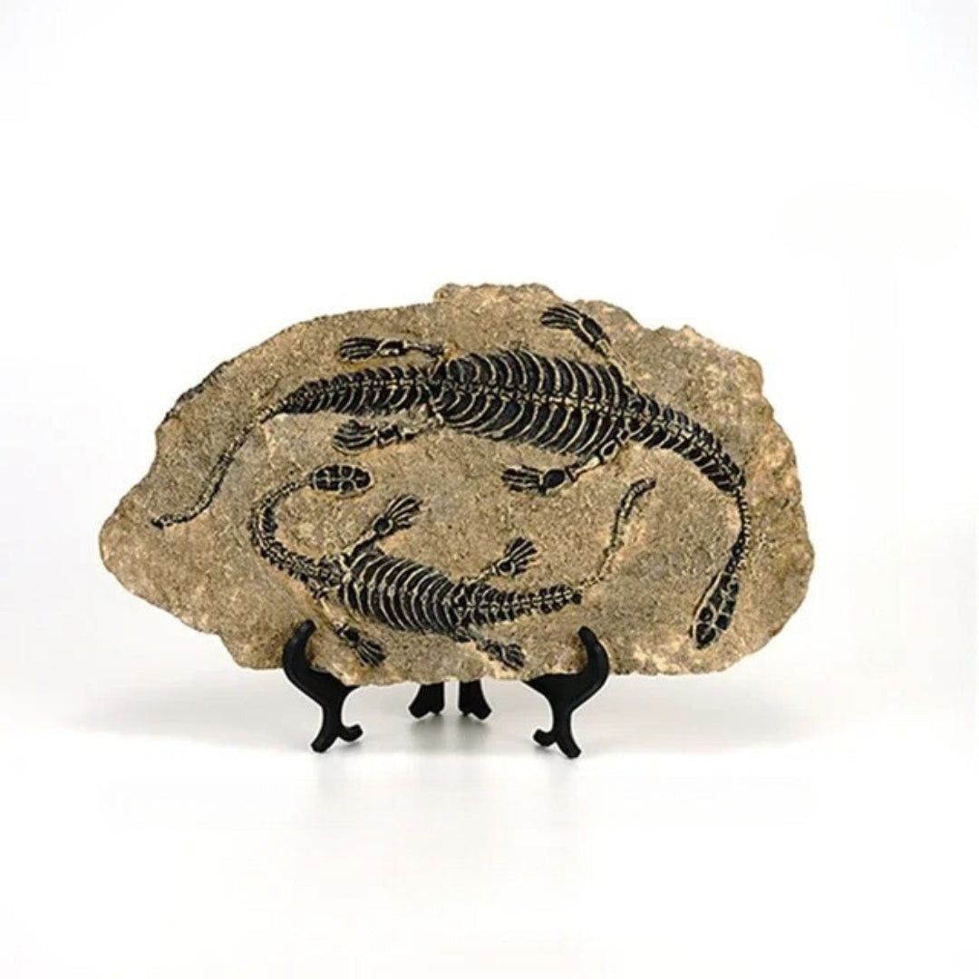 Dinosaur Fossil Resin